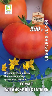 Сахаристый томат сорта «Алтайский богатырь»