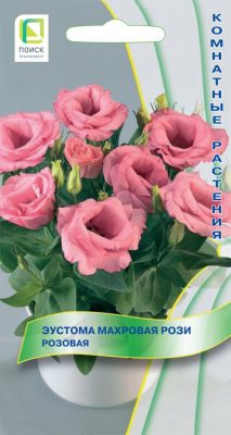 Эустома махровая «Рози Розовая» Эустома махровая «Рози Розовая»