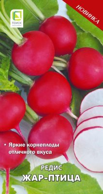 Сорт редиса «Жар-Птица» Сорт редиса «Жар-Птица»
