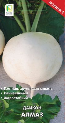 Лоба и дайкон чем отличаются. Смотреть фото Лоба и дайкон чем отличаются. Смотреть картинку Лоба и дайкон чем отличаются. Картинка про Лоба и дайкон чем отличаются. Фото Лоба и дайкон чем отличаются