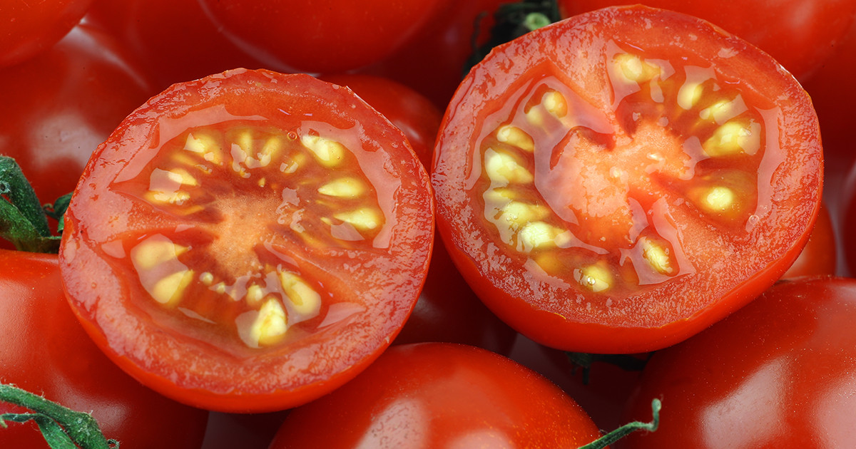 Фото семена помидор томаты семена хорошие