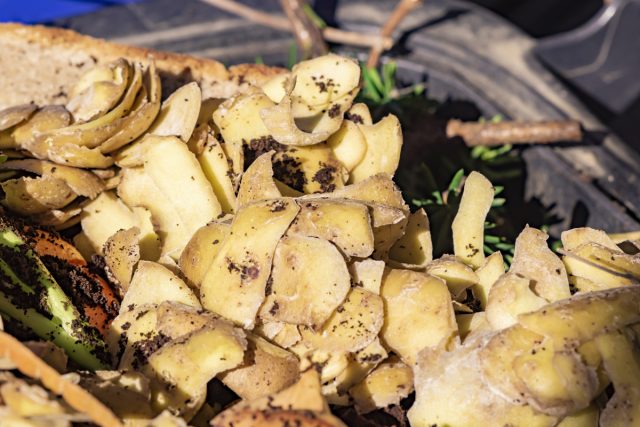 Избежать распространения фитофтороза при компостировании картофельных очисток можно