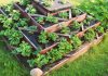 11 способов посадки земляники садовой на небольших пространствах