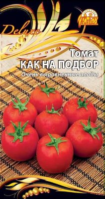Томат «Как на подбор» Томат «Как на подбор»